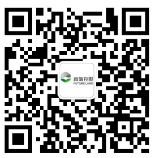 “巧夺天工,艺彩澜庭”12